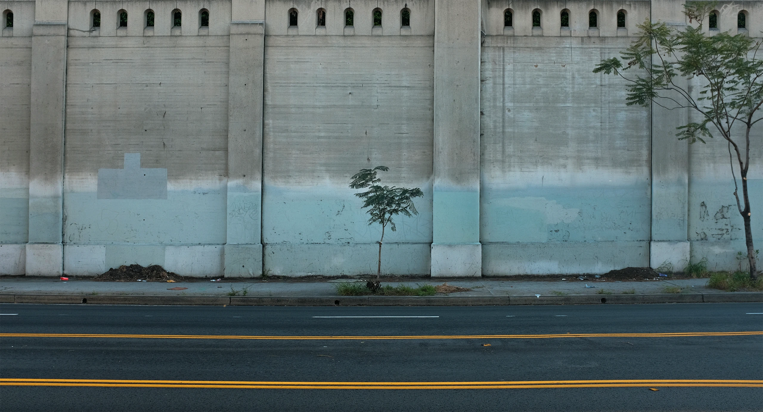 L.A. Vegetation. Shot by Dennis Riebenstahl, Cinematographer based in Hamburg, Germany.